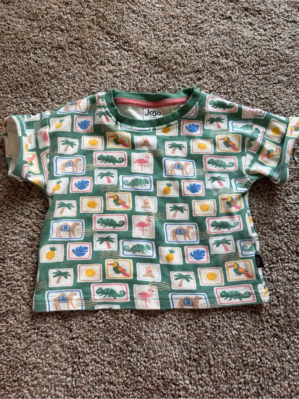 JOJO MAMAN BEBE Tropical Postcard Print T-Shirt & Shorts Set